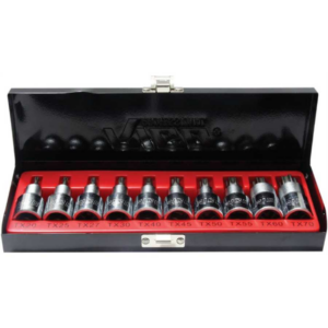 10 PC TORX LOKMA SET